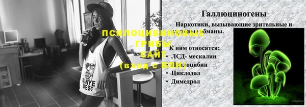 прущая мука Богородицк