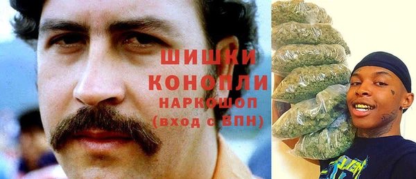 тгк Богданович