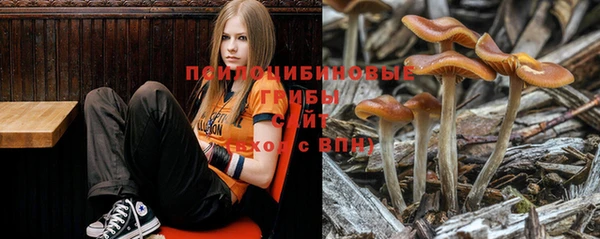 прущая мука Богородицк
