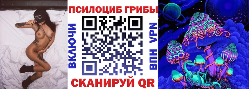 гидра ссылка  Зима  Псилоцибиновые грибы Magic Shrooms 